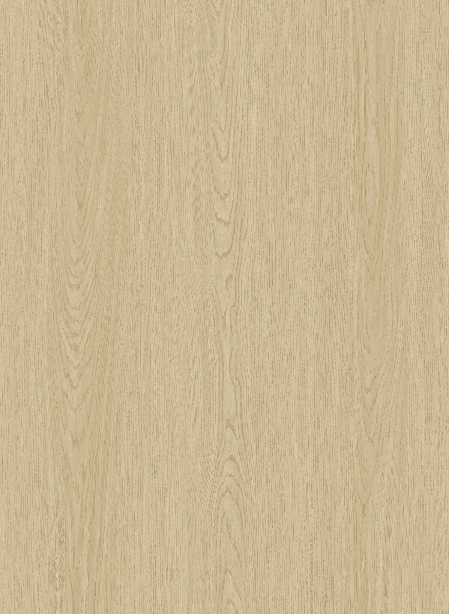 Coastal Oak