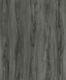 Harbor Gray