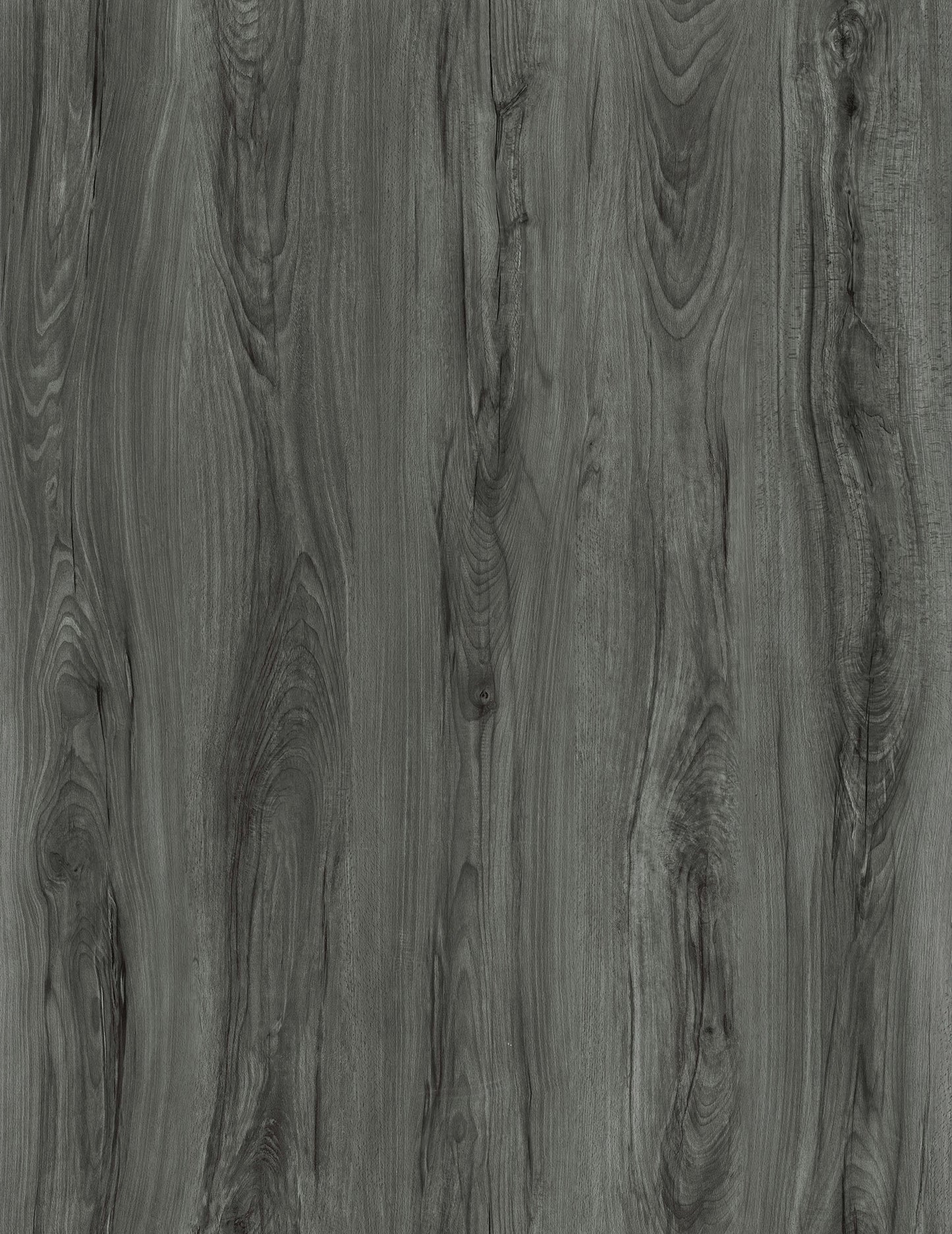 Harbor Gray