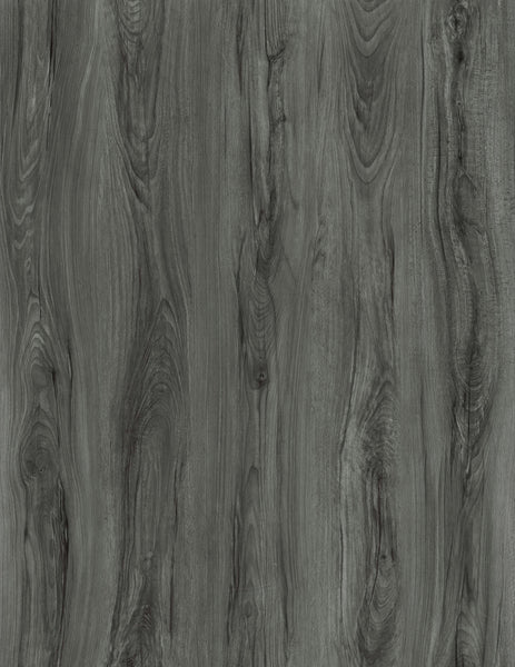 Harbor Gray