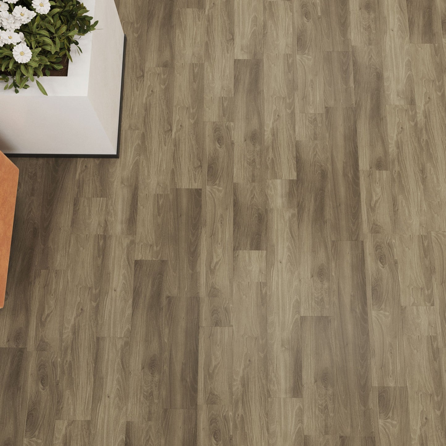 Greywood