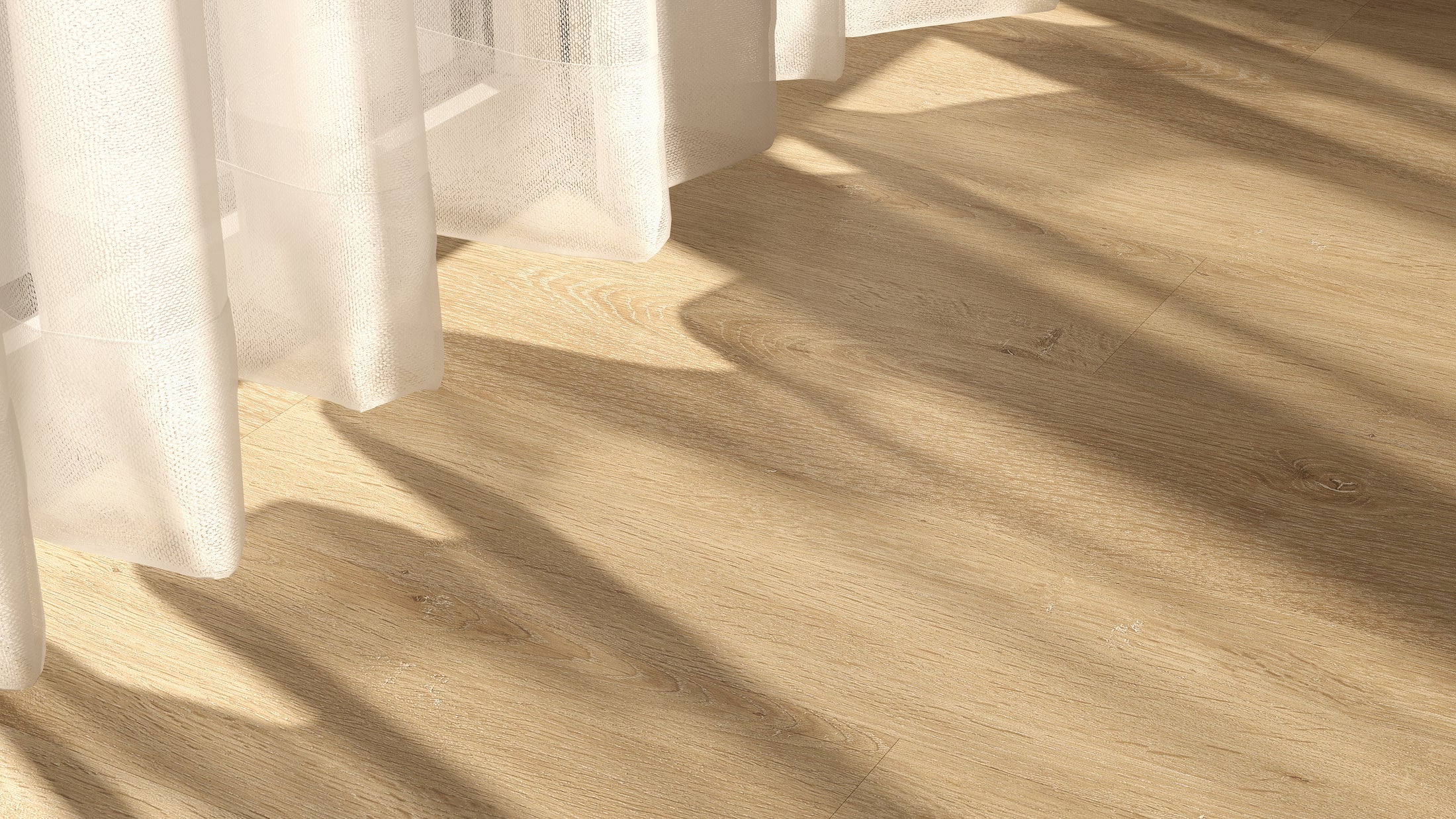 Lucida Surfaces