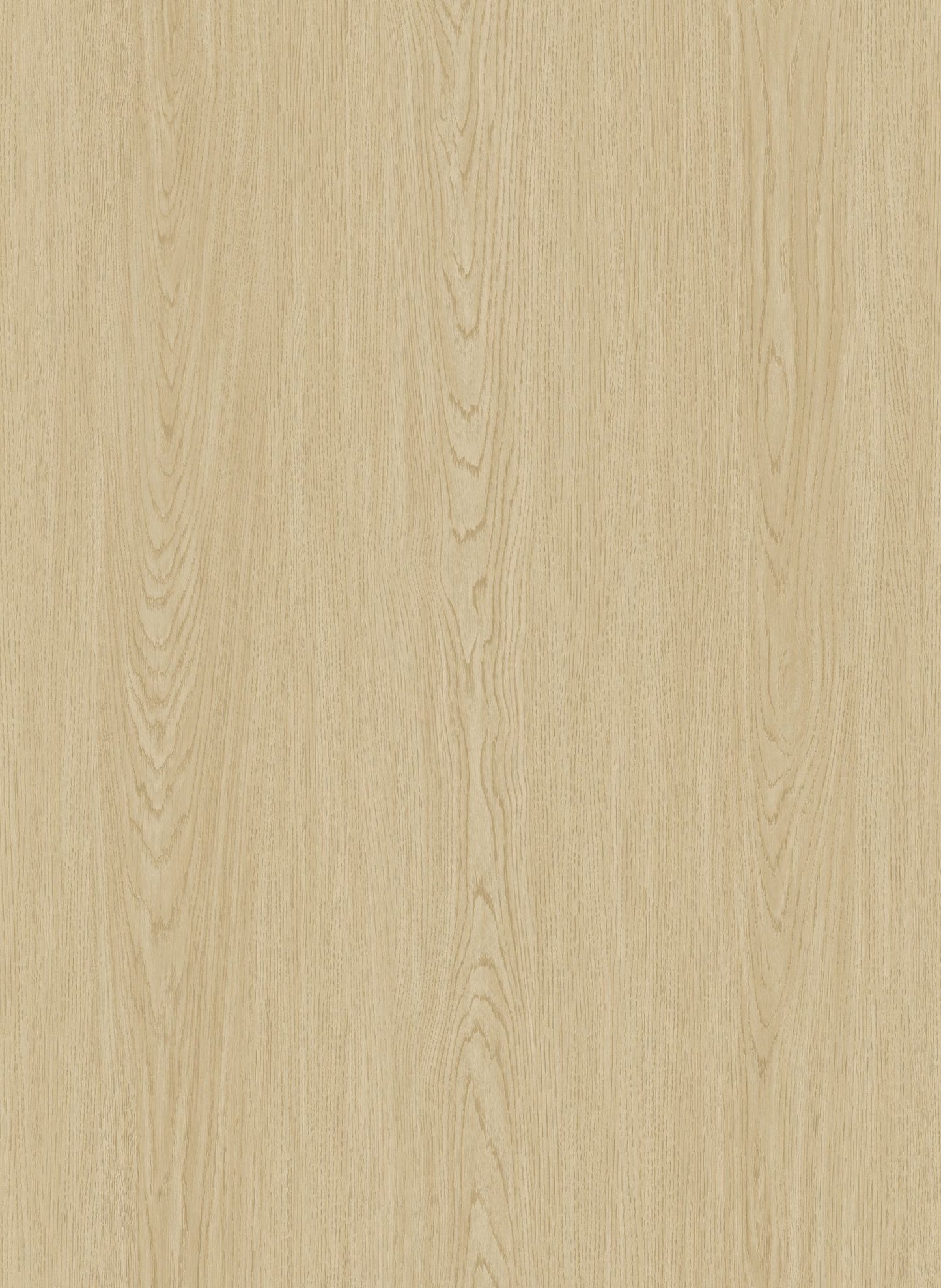 Coastal Oak