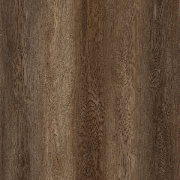 803-cc_grande.jpg?v=1722879888