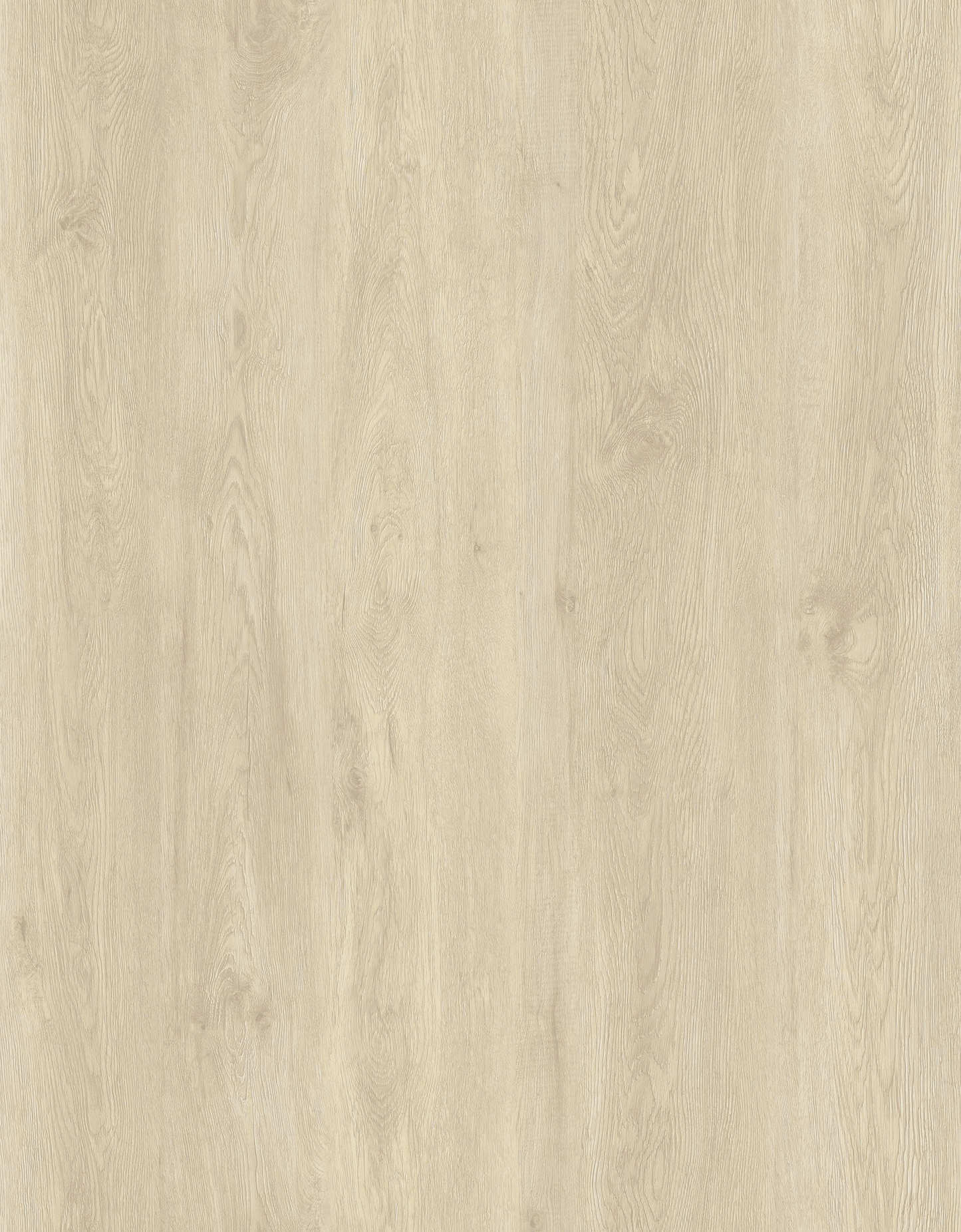 Ivory Oak Steps + Risers
