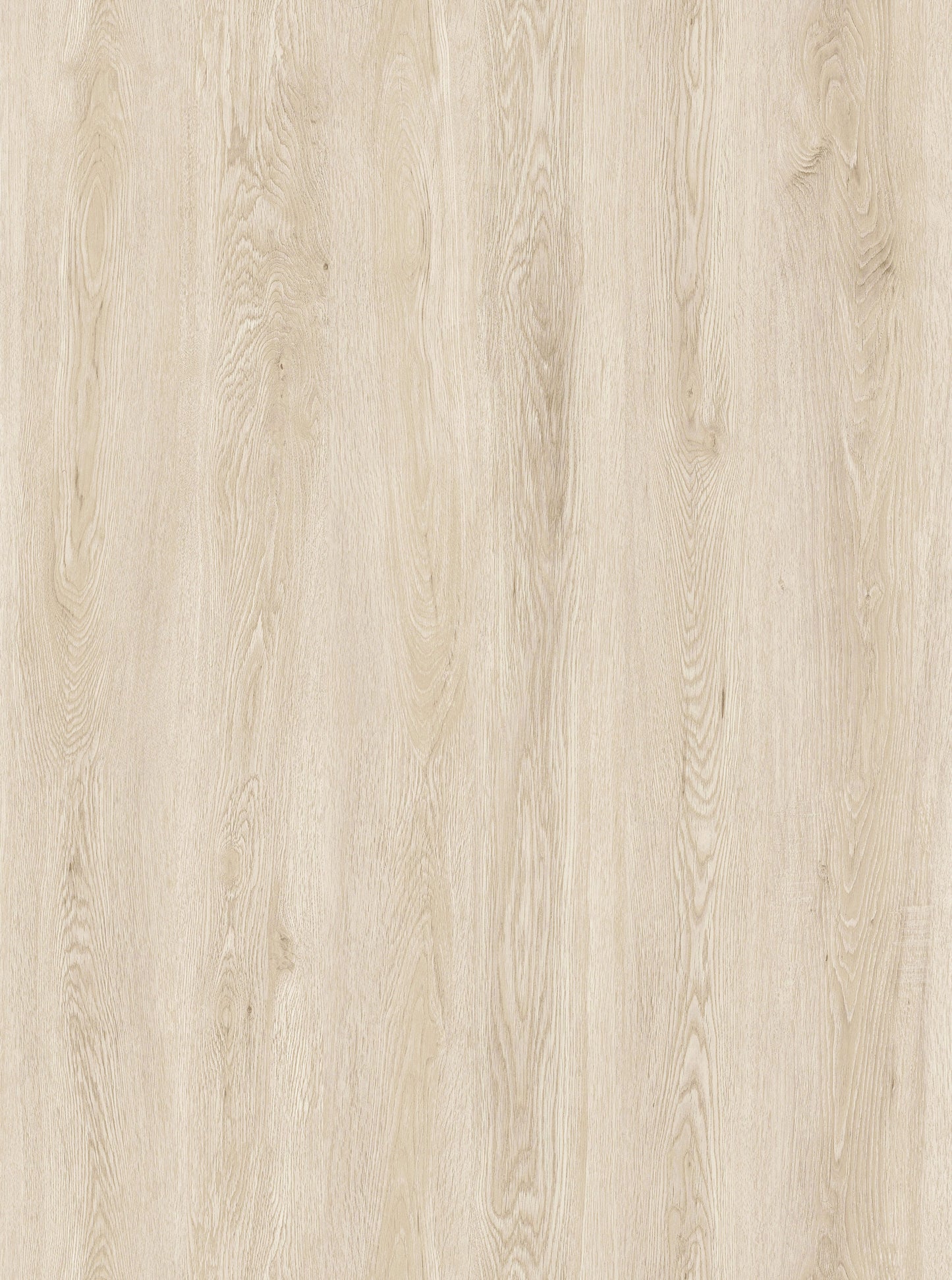 Ivory Oak Steps + Risers