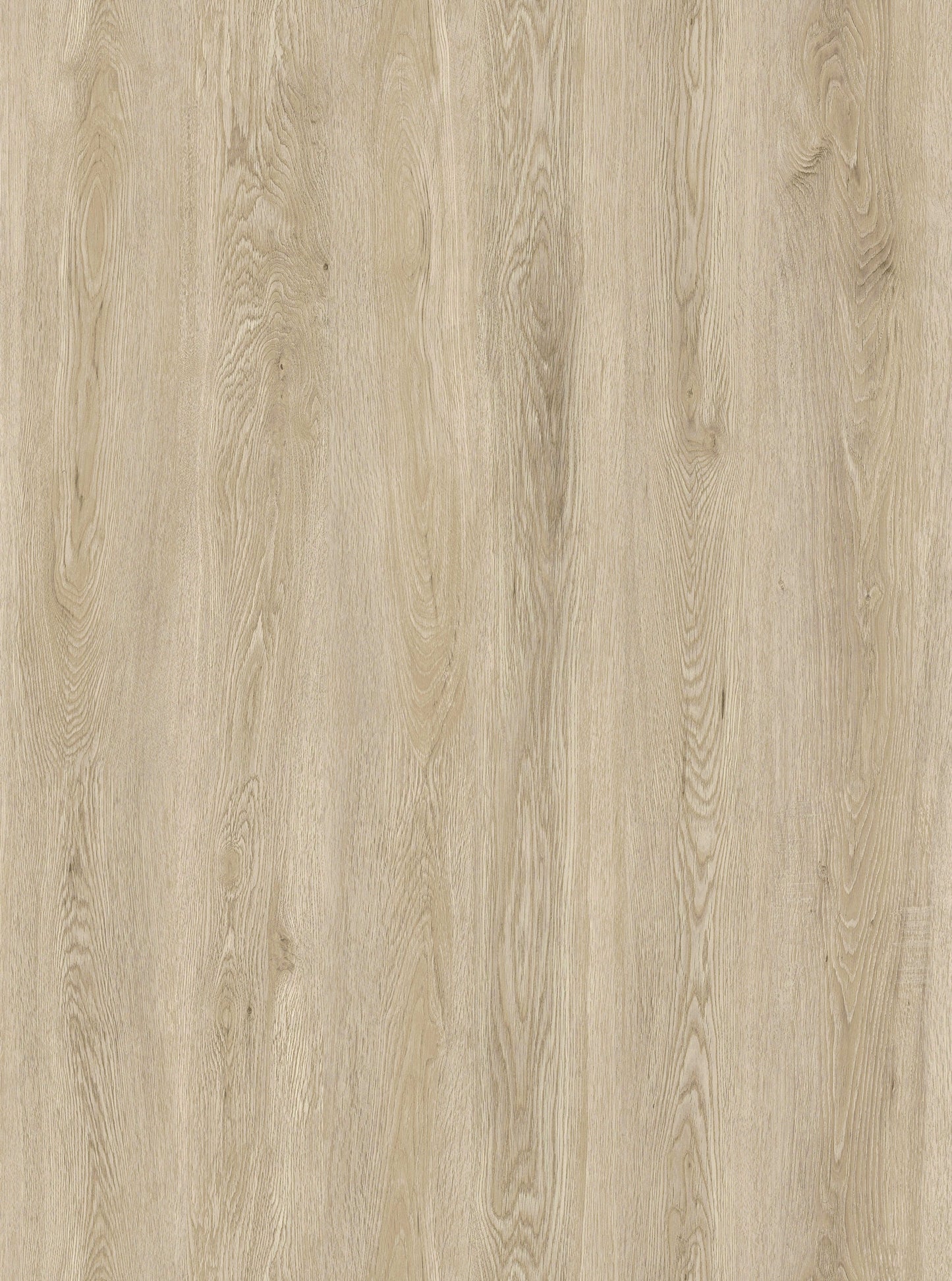 Ivory Oak