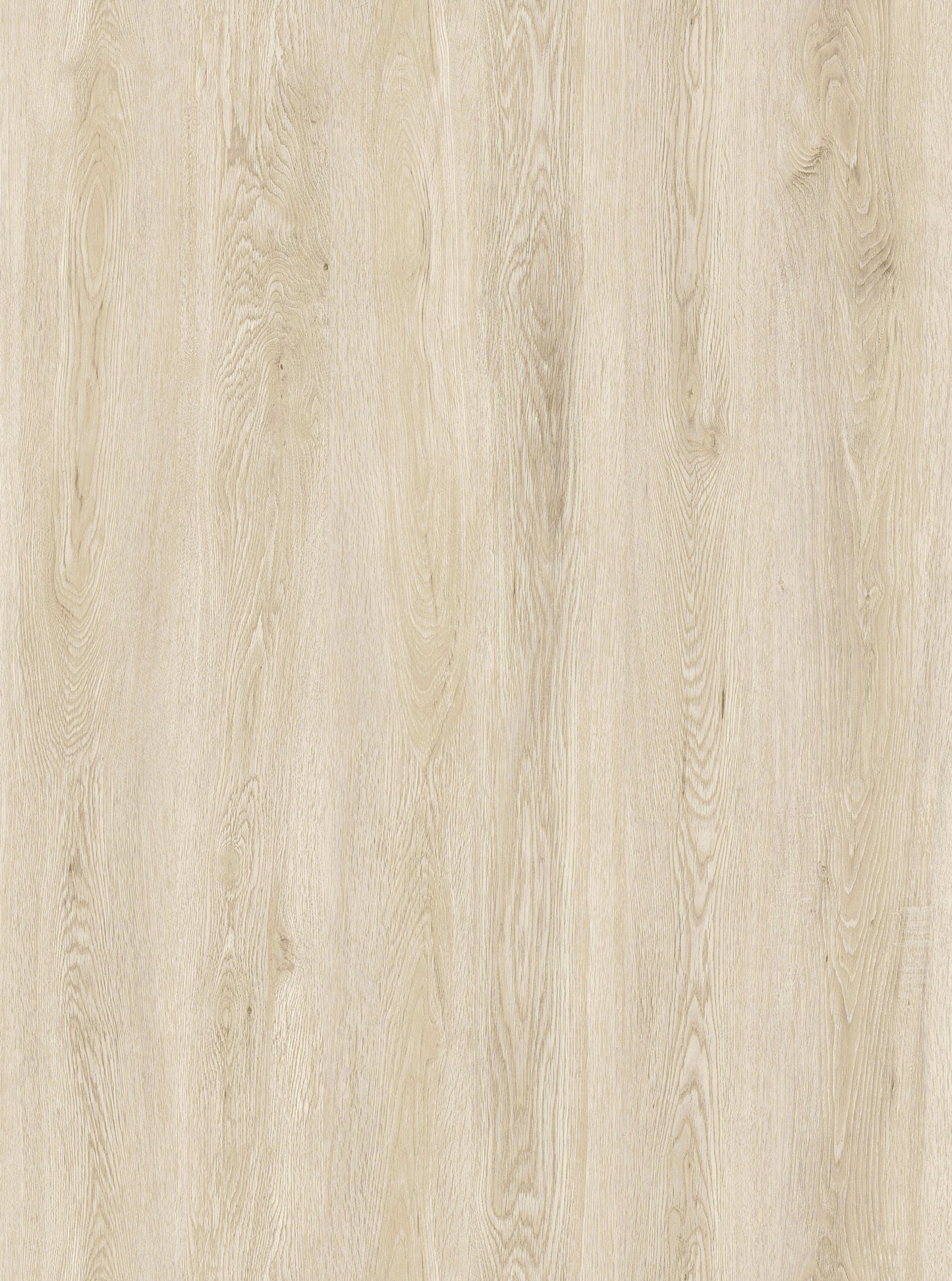 Ivory Oak Steps + Risers