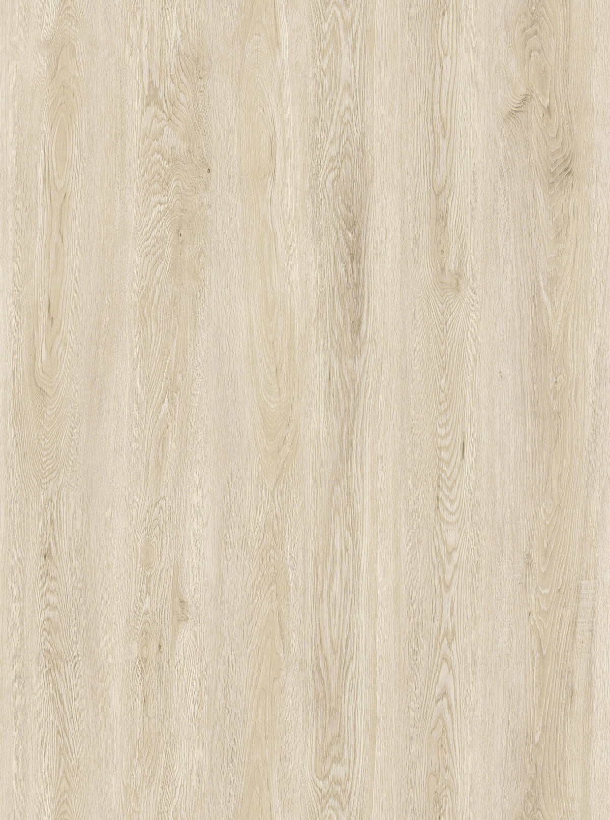 Ivory Oak Steps + Risers