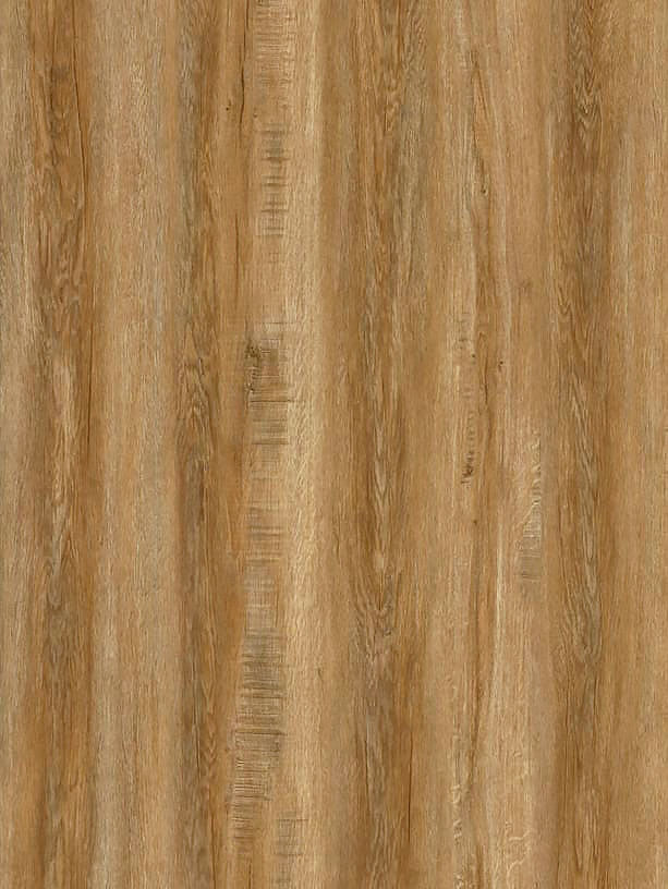 Cedar